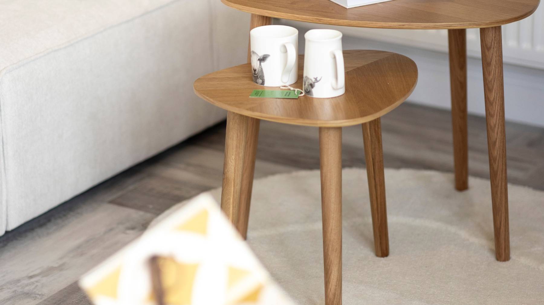 raemoir park showhome of support detached homes