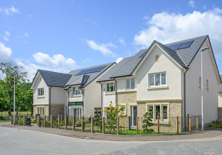 Pinefields Showhomes (1)