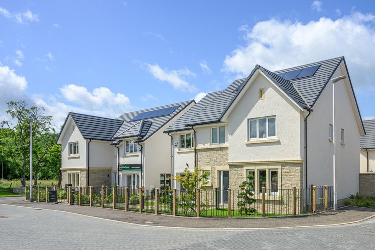 Pinefields Showhomes (1)