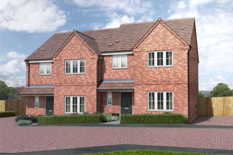 CAL271 Birchwood Farnham Fennel Plot 12 001