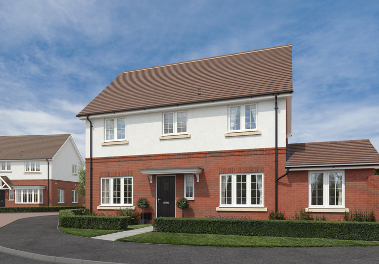 CAL245 The Oaks Plot 25 Dandelion 004