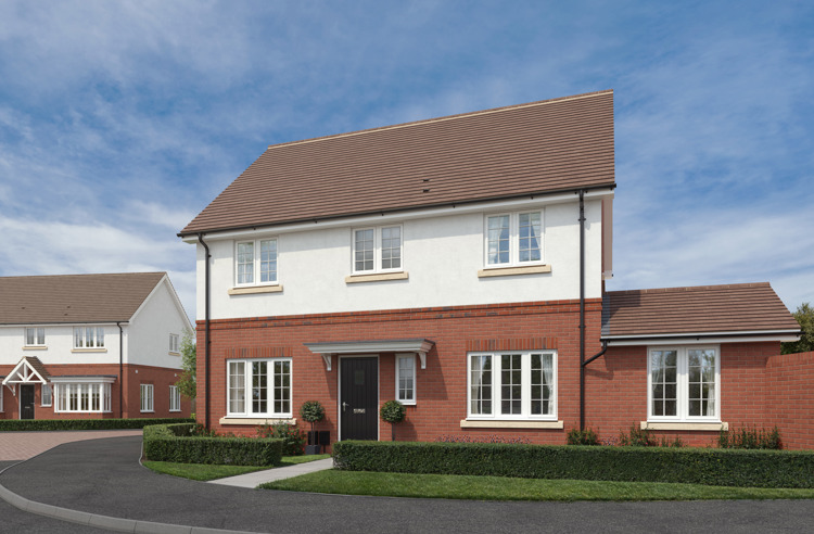 CAL245 The Oaks Plot 25 Dandelion 004