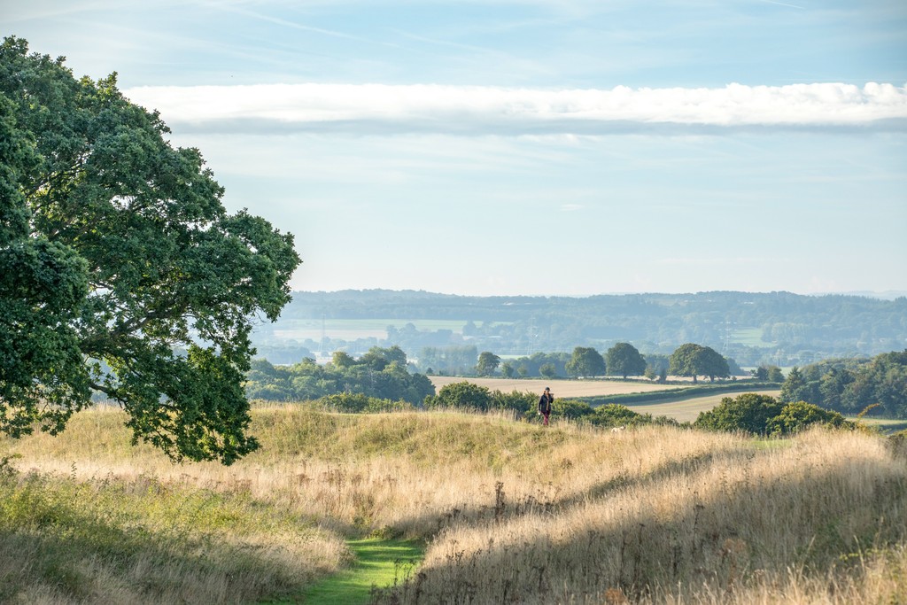 Local area photography in Wimborne and surrounding areas