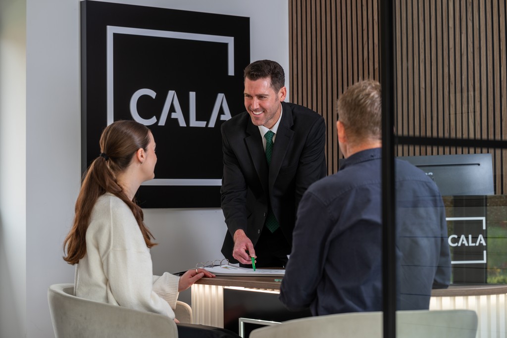 Sales Consultant