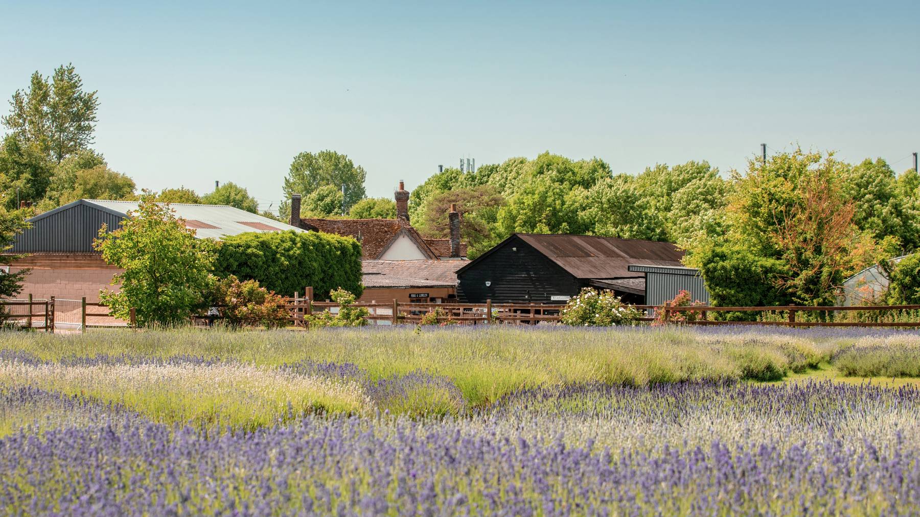 Vb1514769 7688 37 Cala NHC Ickleford Localarea