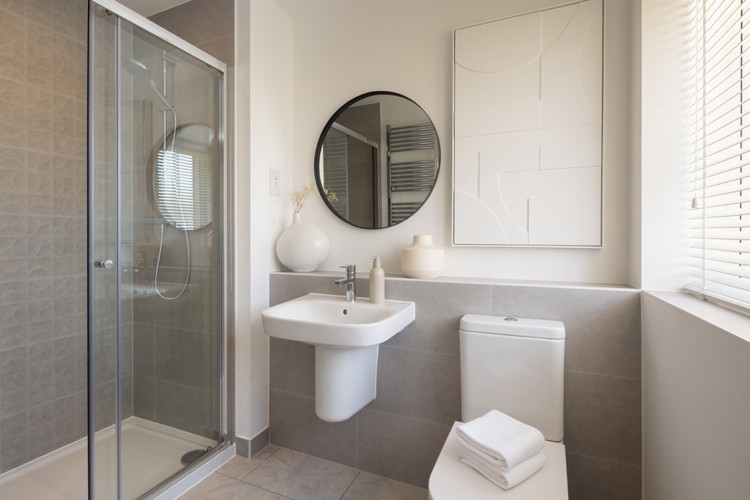 The Dandelion Ensuite Wivenhoe Gardens