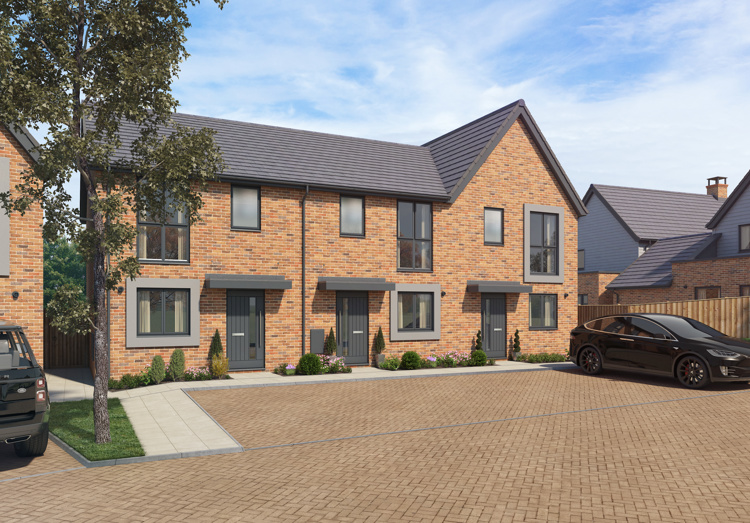 CAL171 Plot 44 46 002