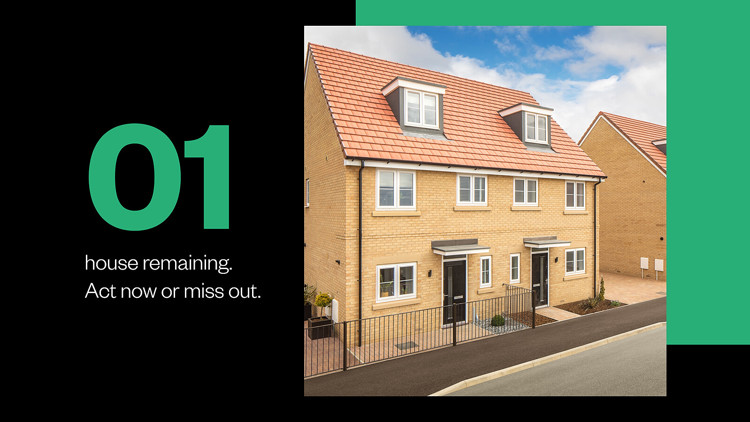 Final House Left At Hampton Lakes, Peterborough