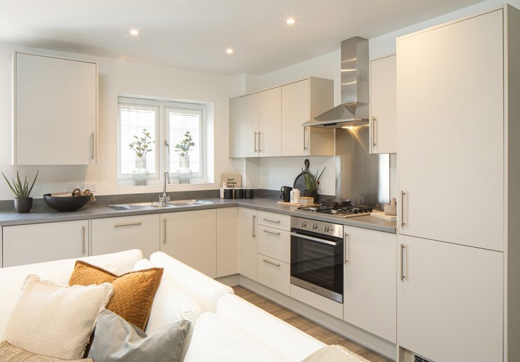 Kitchen/Lounge/Dining