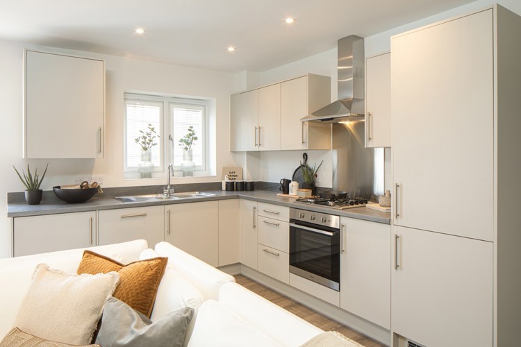 Kitchen/Lounge/Dining