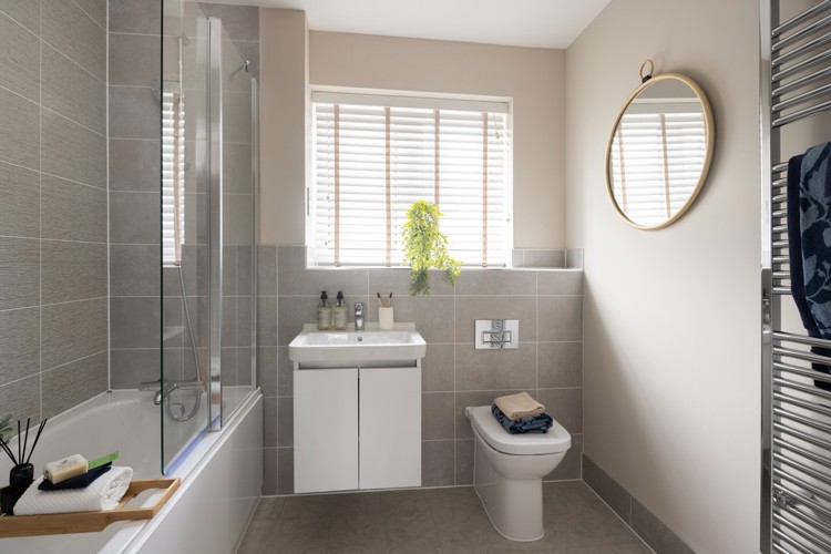 The Rowan at Worting Park. New homes for sale in Basingstoke