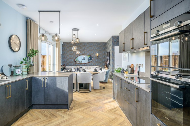 5 bedroom showhome | open plan studio-style kitchen, dining and family area with bi-fold doors to garden