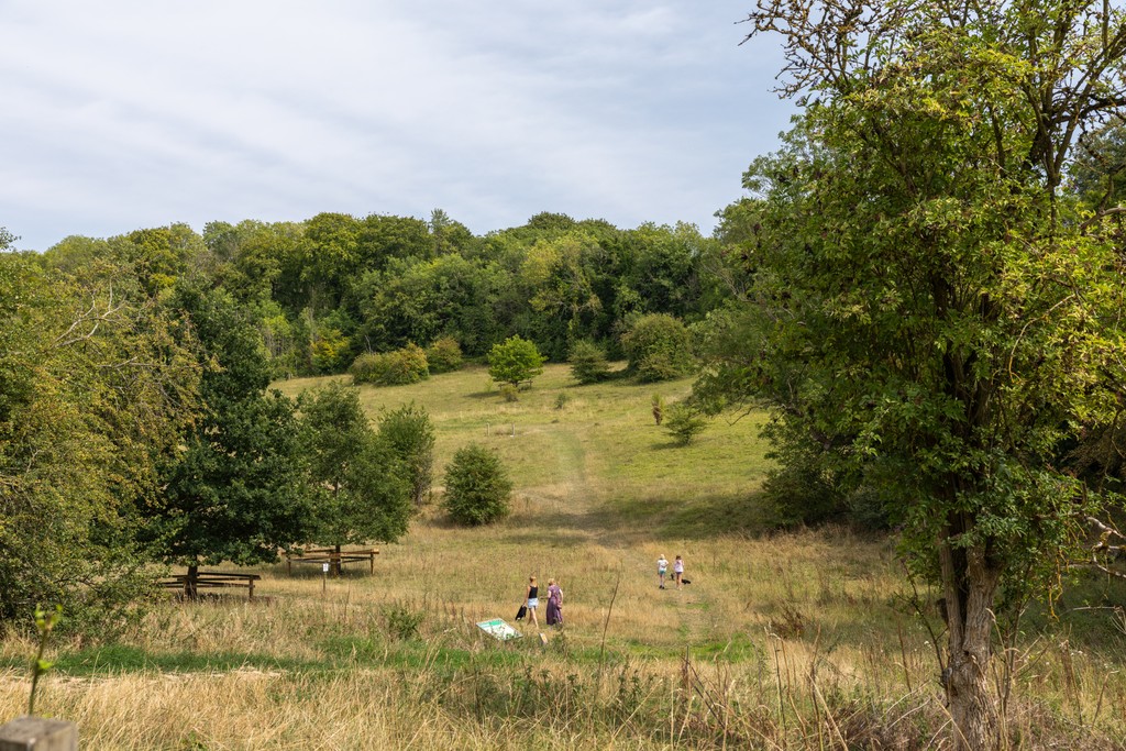 Cala Kings Langley Local Area 1 (56)