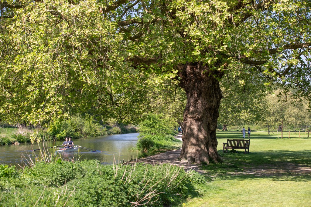 Kings Barton Winchester Local Area