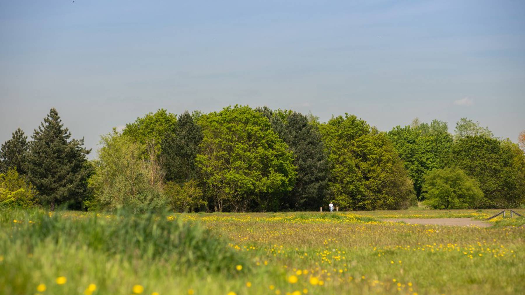 Local photography for houses for sale in Weybridge