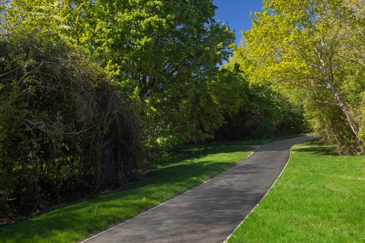 5 bedroom homes for sale newbury