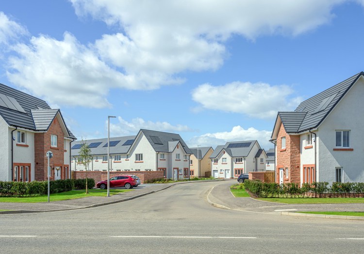 Cala Homes | Millgate Lawns Street Scene | 3 -5 bedroom homes in Winchburgh