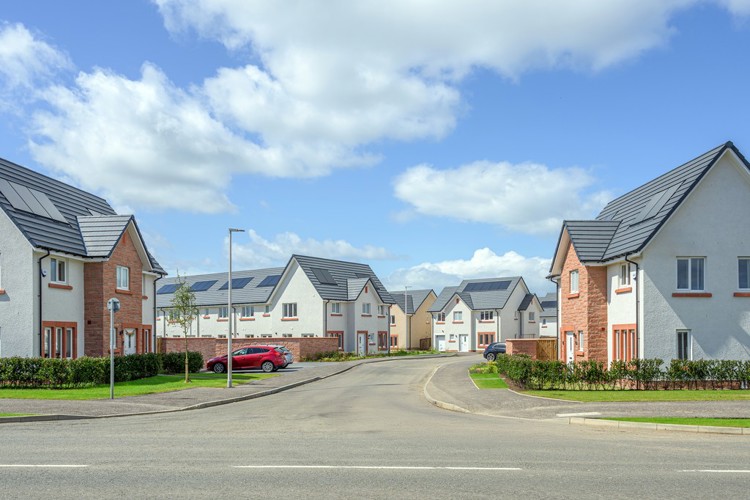 Cala Homes | Millgate Lawns Street Scene | 3 -5 bedroom homes in Winchburgh