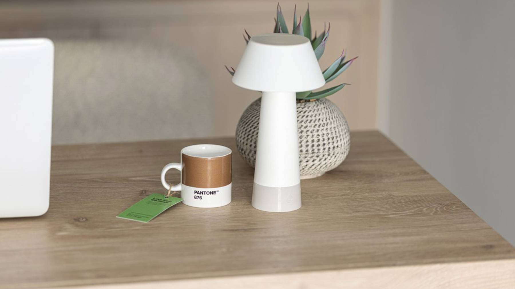 Netherhall Gardens Showhome Of Support Image Mug