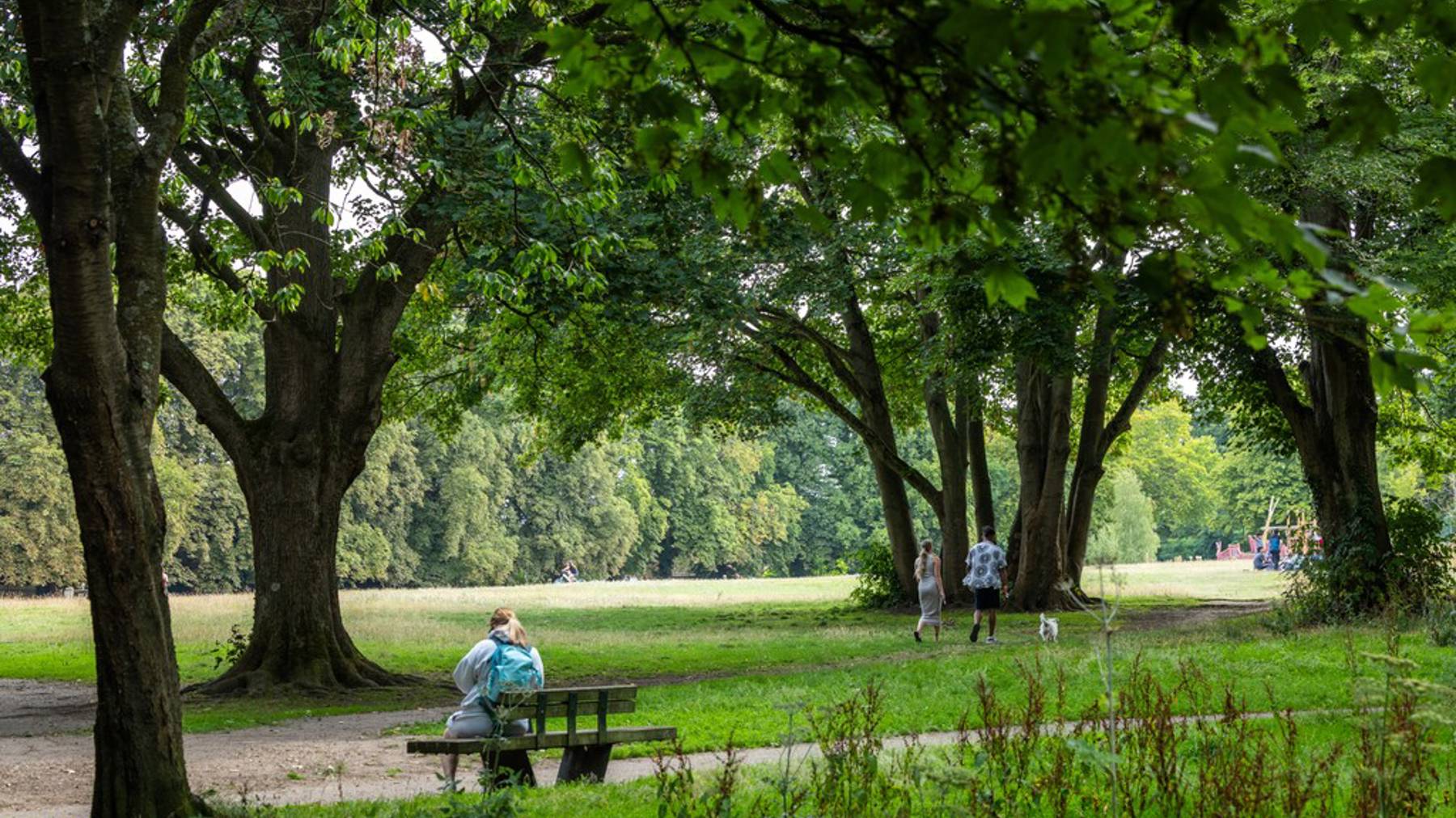 Cala Edmund Park Kings Langley Local Area Photography Location Page Gallery 1 (14)