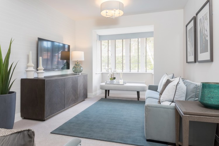 Living room photography of homes for sale in Egham