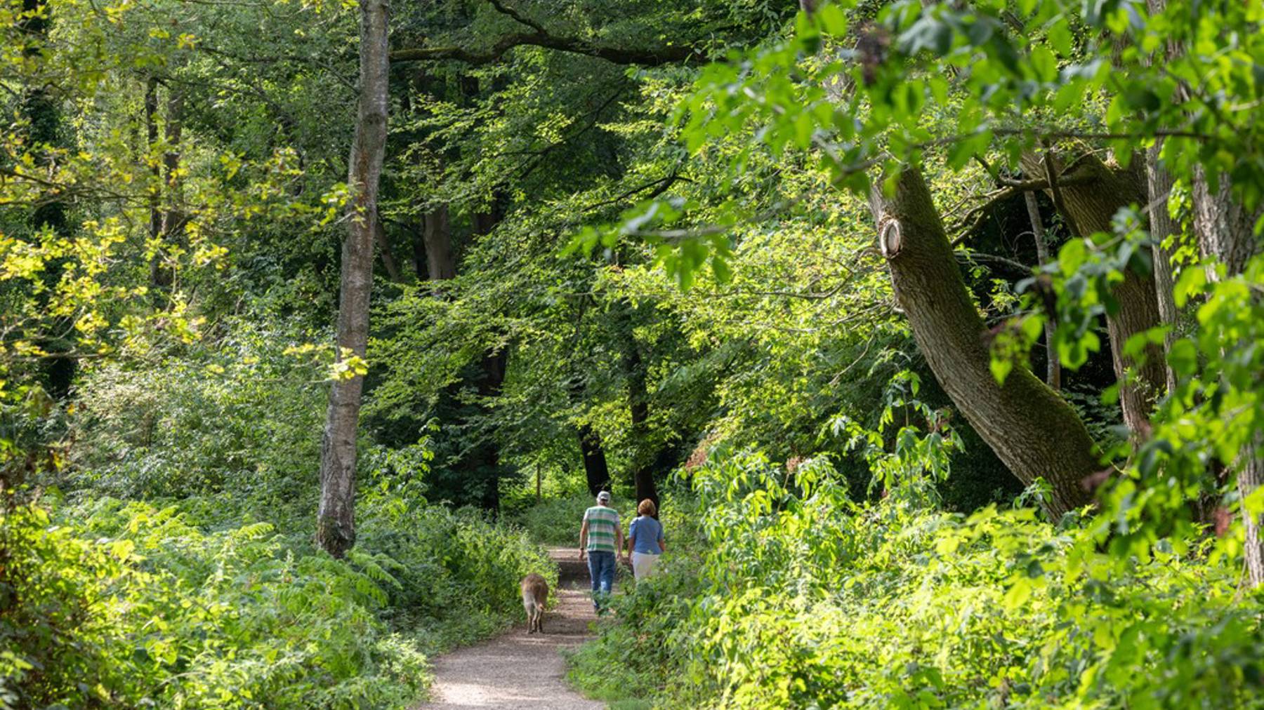 Cala Edmund Park Kings Langley Local Area Photography Location Page Gallery 1 (13)