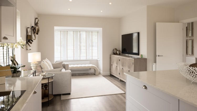 Family room of house for sale at Worting Park. New homes for sale in Basingstoke