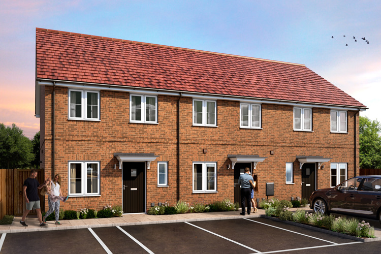 CAL191 New Monks Park Beech Plots 561 563 001