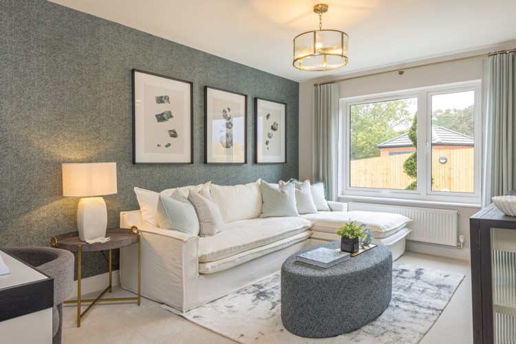 Lounge of houses for sale in Deepcut