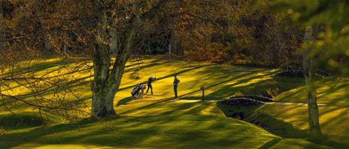 Golfers