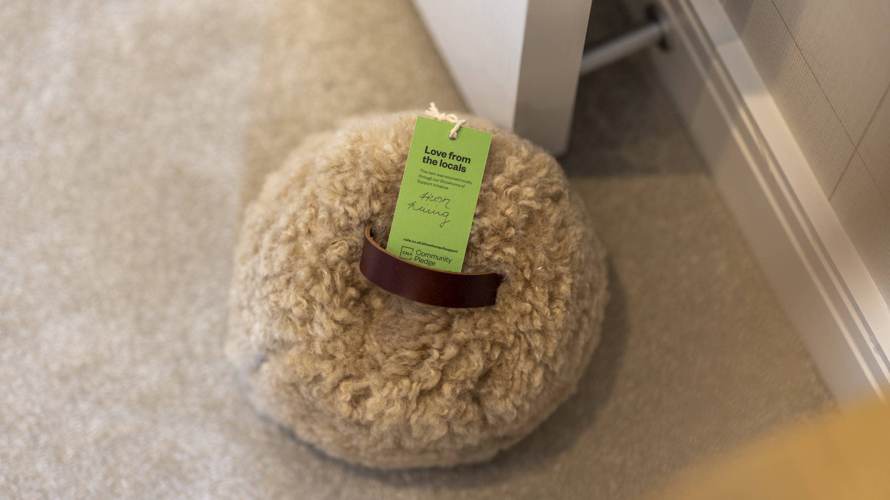 raemoir park showhome of support detached homes