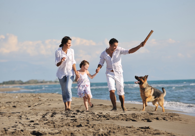 Family At Beach Dog
