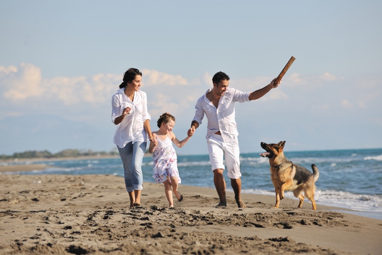 Family At Beach Dog