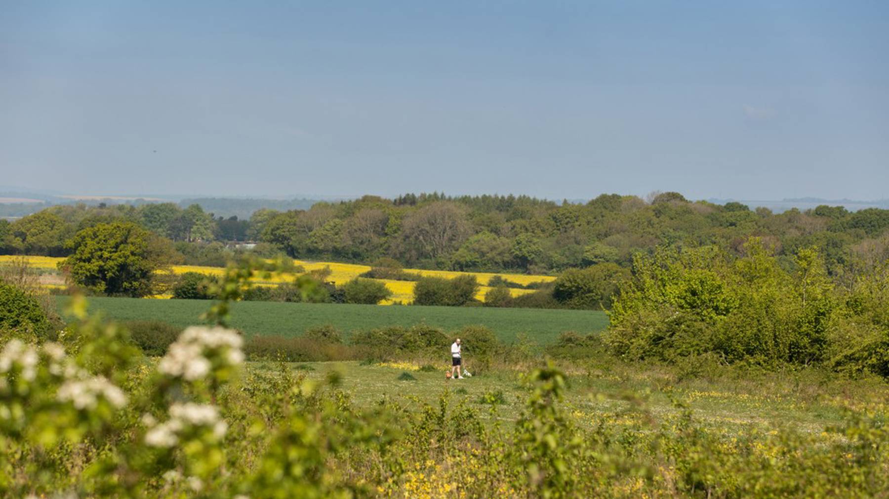 Local area photography for houses for sale in Basingstoke