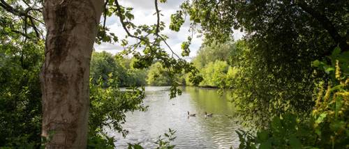Vb1861428 8429 035 Alton Local Area Cala Homes Thames 1024X683