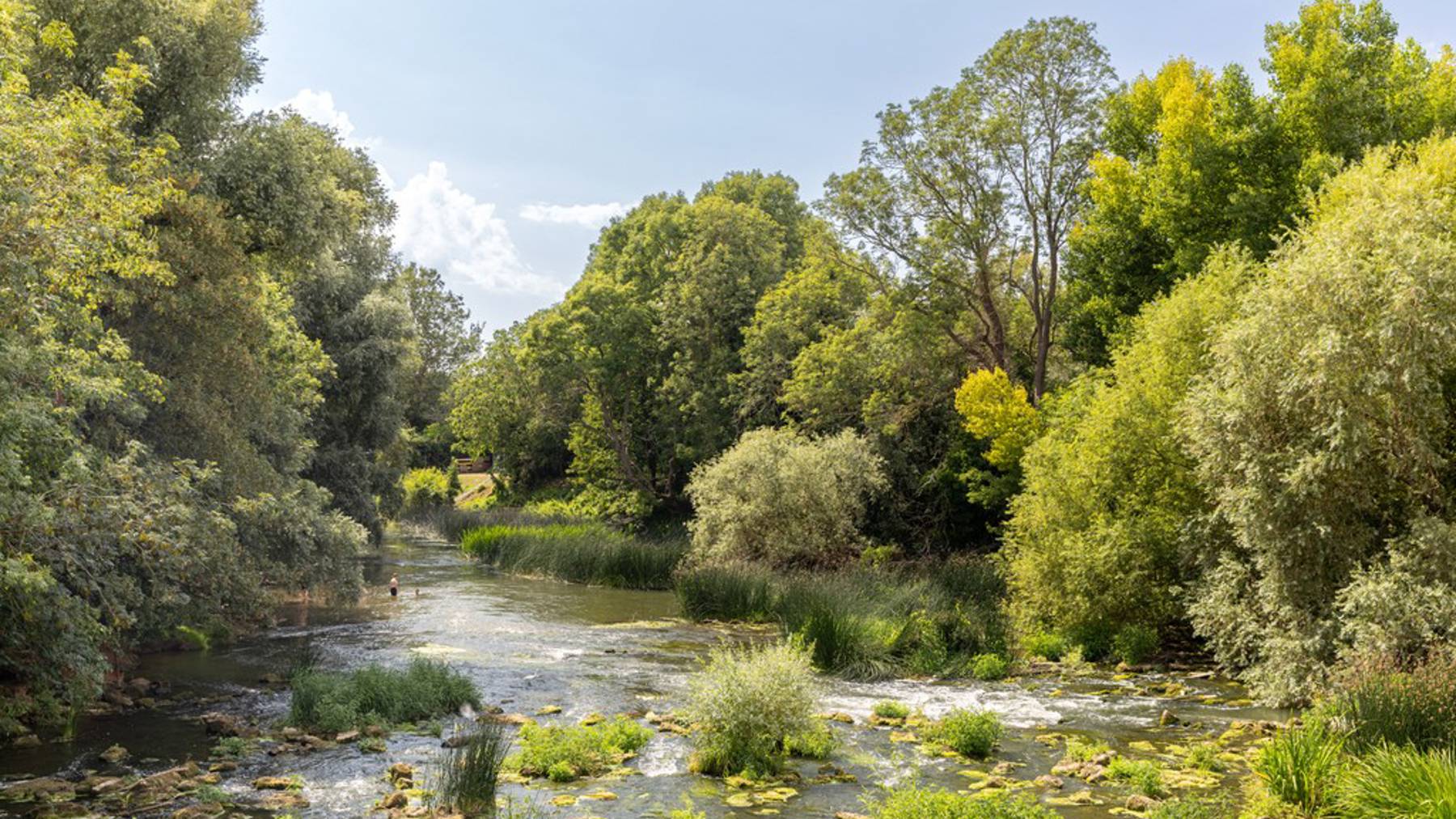 River Ouse Nature